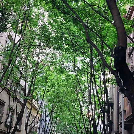 Gala Center Lägenhet *